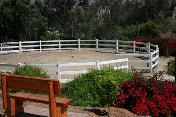 Dogplayarena_000