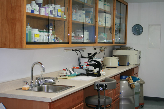 Laboratory1